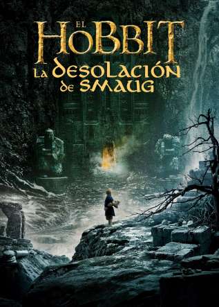El Hobbit: La Desolación de Smaug - movies